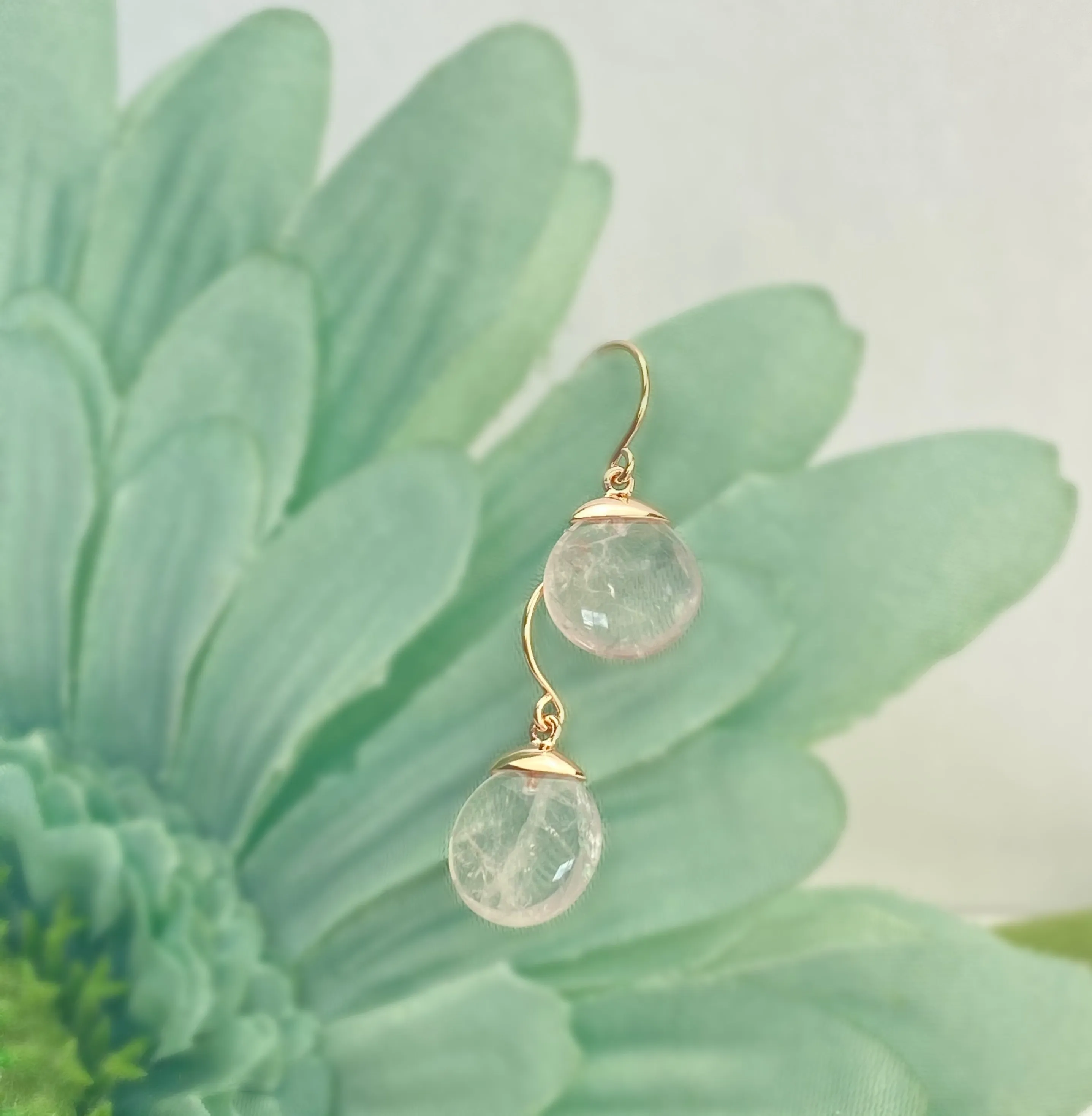 Rose Bliss Earrings - SE5084